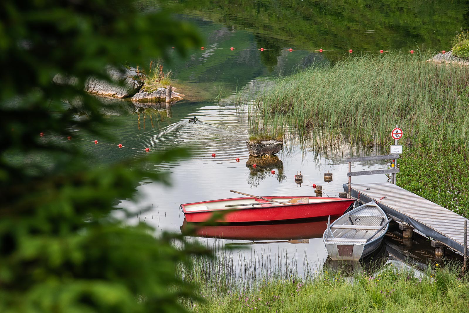 Naturjuwel Körbersee © Warth-Schröcken-Tourismus, Fotograf: Ratko Medienagentur